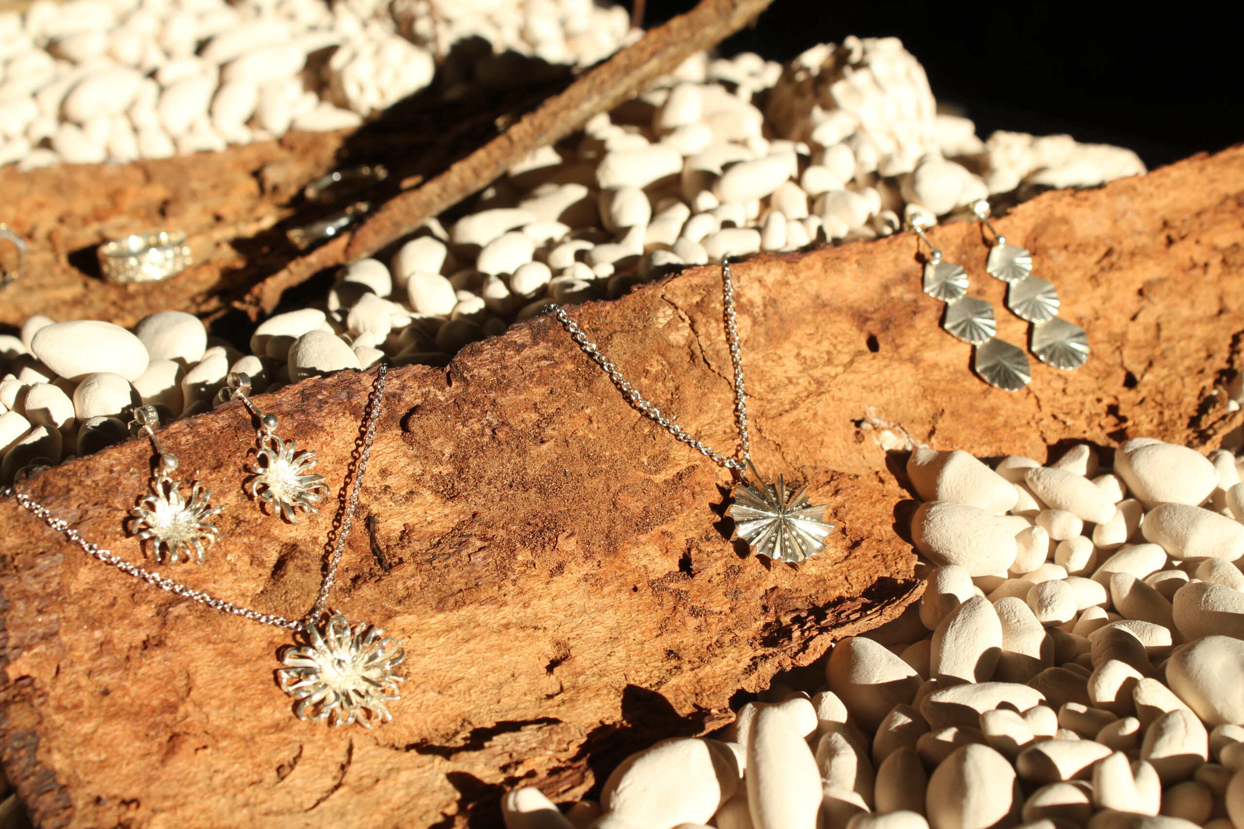 IMG_1857 – Elizabeth AGASSE