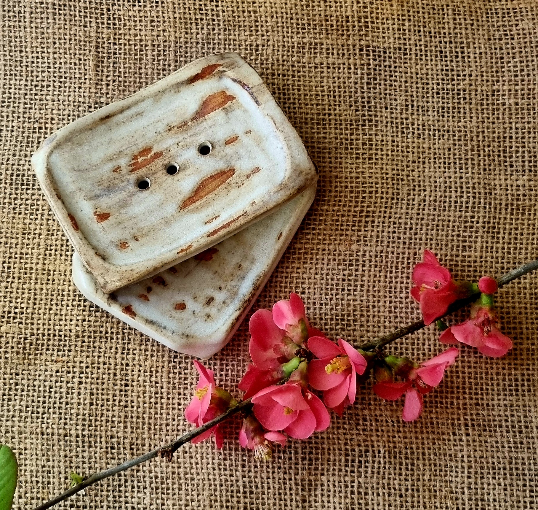 20250403_140727 – Gabrielle (Gaby)