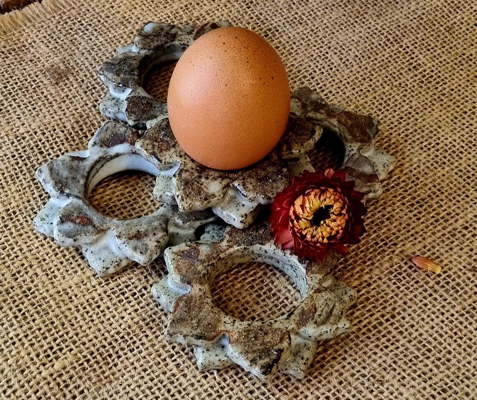 20250606_132015 – Gabrielle (Gaby)