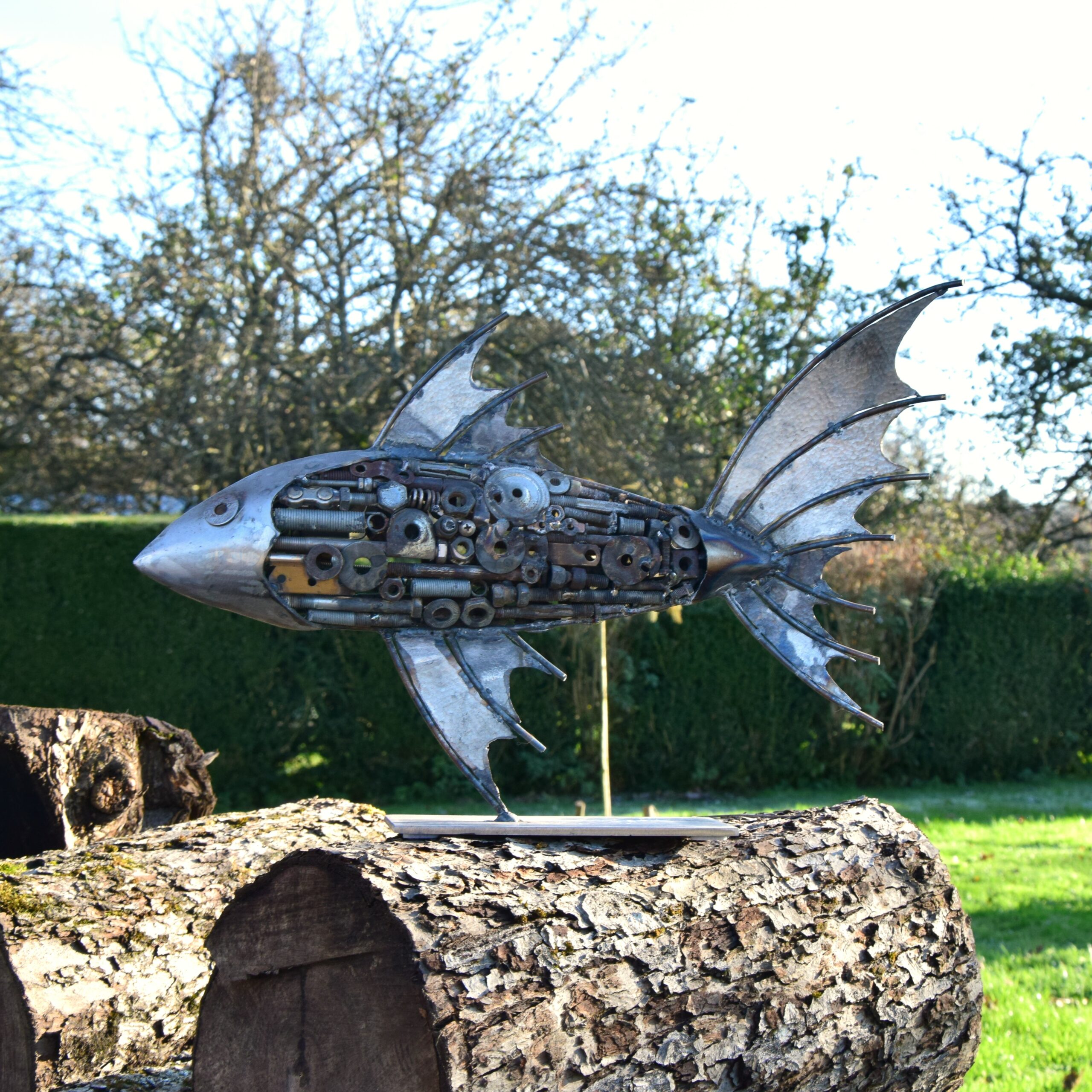 DSC_01364 – Eliot MadGriff