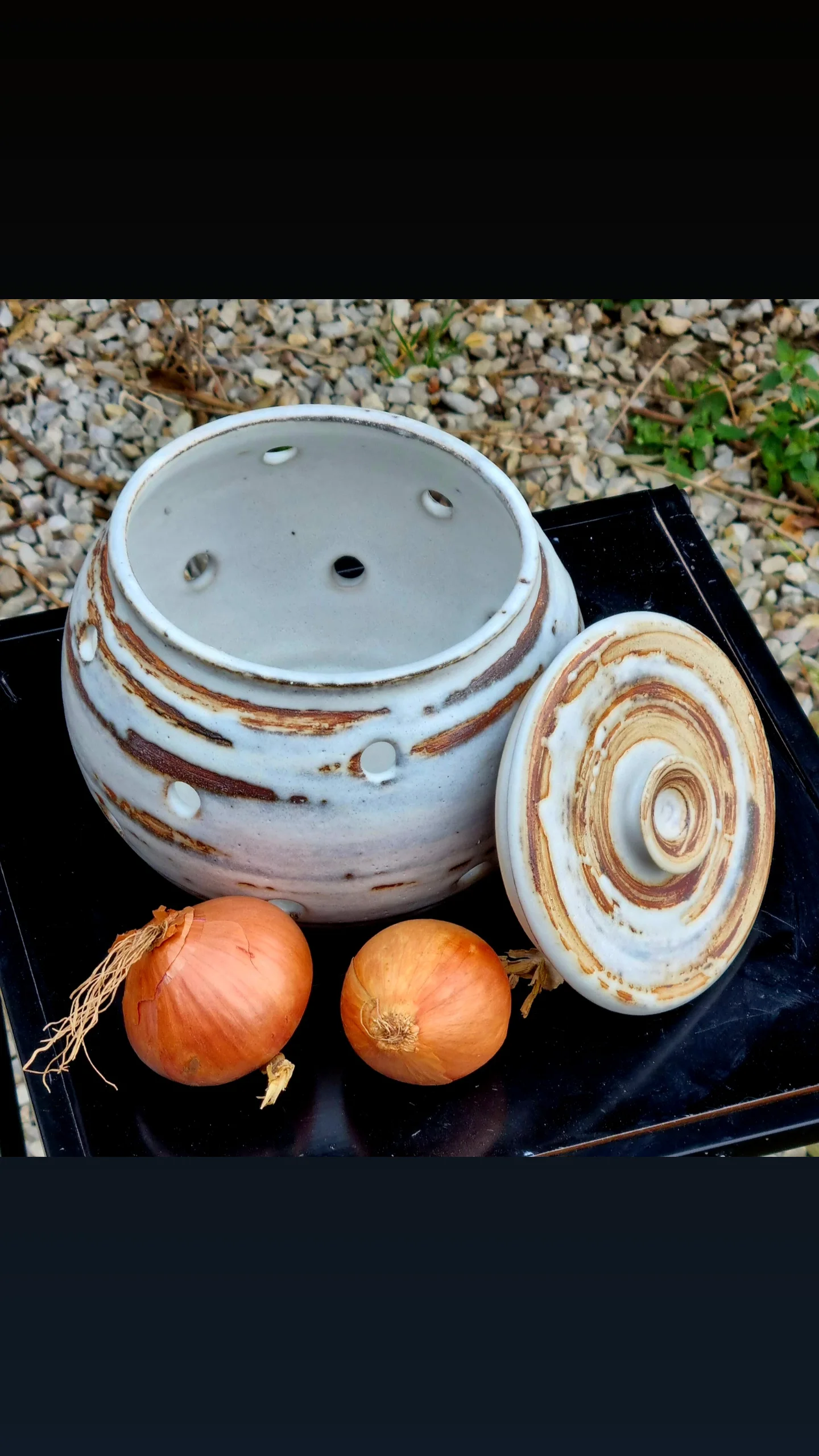 IMG_20250312_113043_526 – Gabrielle (Gaby)