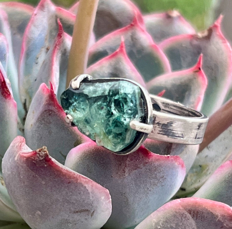 IMG_7786 (1) – Morgane Rivière